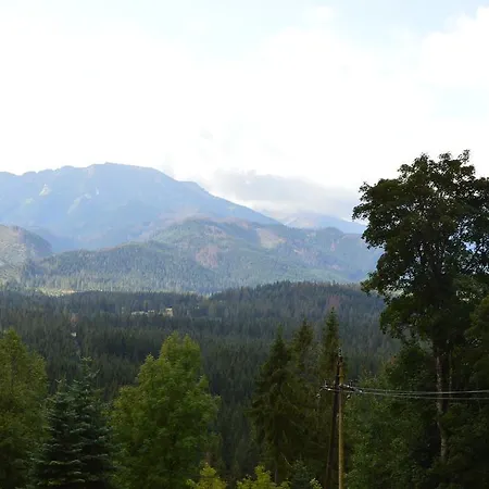 Проживание в семье Janosik Витув