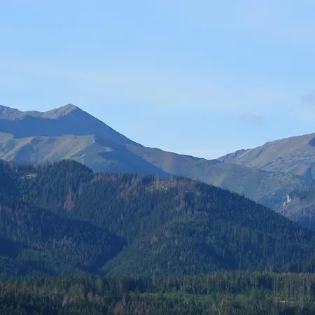 Janosik * Витув